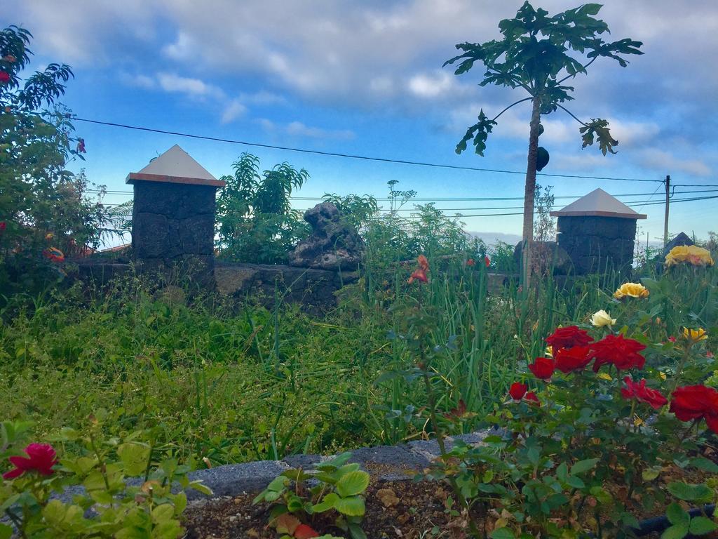 Costa Este House Monte de Brena Zewnętrze zdjęcie